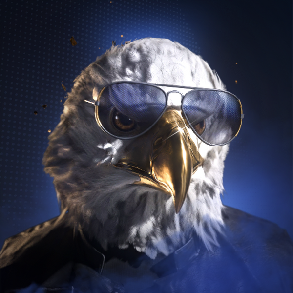 File:BORN TO SOAR Alternate.png