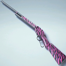 Model 1887 - THE FINALS Wiki