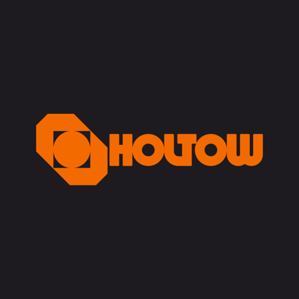 File:THE-FINALS holtow-logo.png