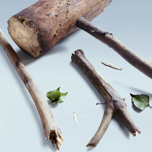 File:FINALS' FOLIAGE SET.png