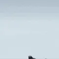 Thumbnail for version as of 21:17, 12 August 2026