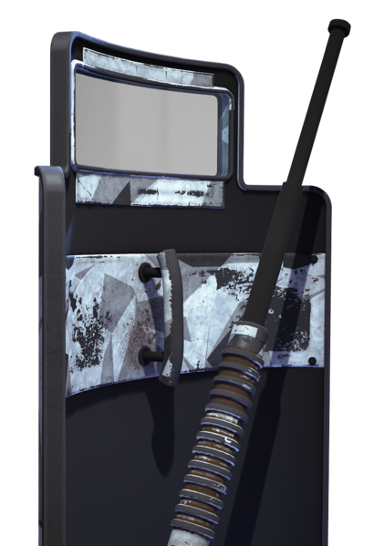 File:Riot-Shield Polygon-Paragon.png